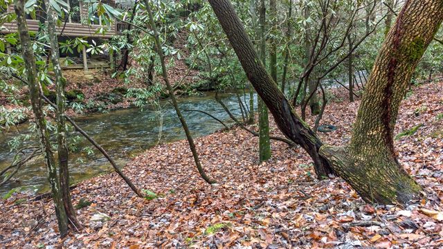 187 Cashes Valley Lane, Cherry Log, GA 30522