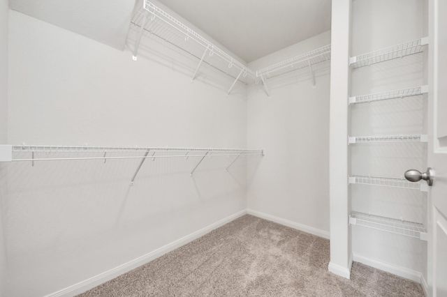 11658 El Rubi Drive, Houston, TX 77048