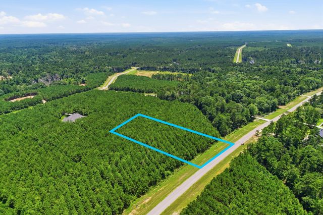 16222 Ridge Oak Road, Willis, TX 77378