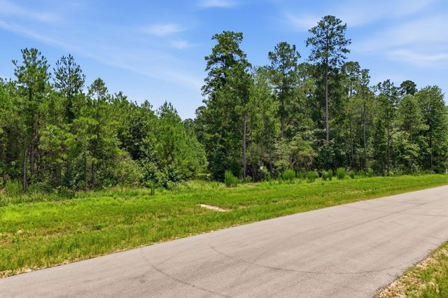 16222 Ridge Oak Road, Willis, TX 77378