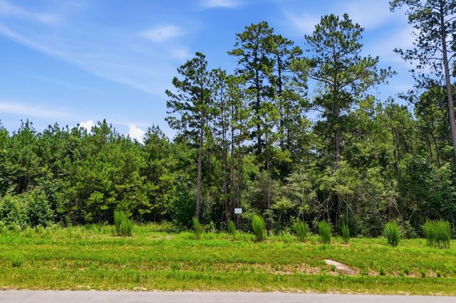 16222 Ridge Oak Road, Willis, TX 77378