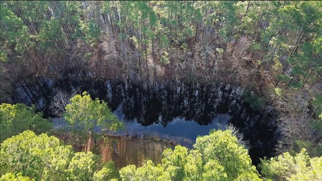 760 Coral Acres Drive, Moncks Corner, SC 29461