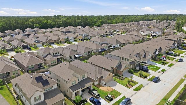 17219 Wild Watermelon Way, Conroe, TX 77302