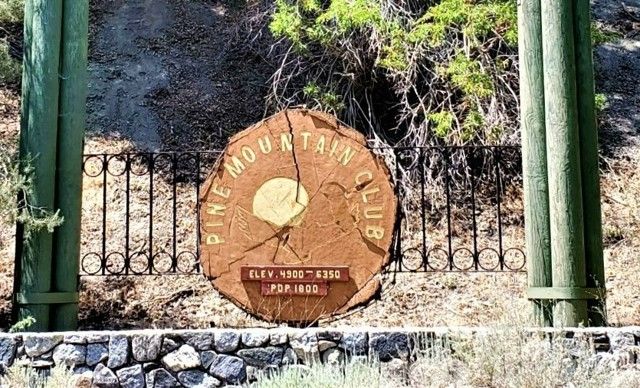 2421 Galcier Drive, Pine Mtn Club, CA 93222