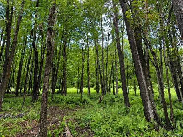 256 Main Street, Livingston Manor, NY 12758