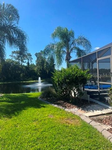 8144 SANGUINELLI ROAD, Land O Lakes, FL 34637