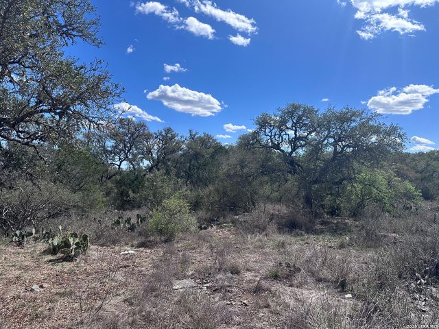 119 Cartama, Spring Branch, TX 78070