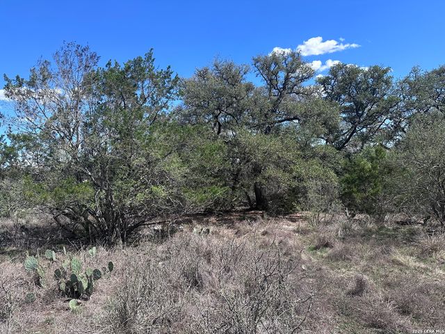 119 Cartama, Spring Branch, TX 78070