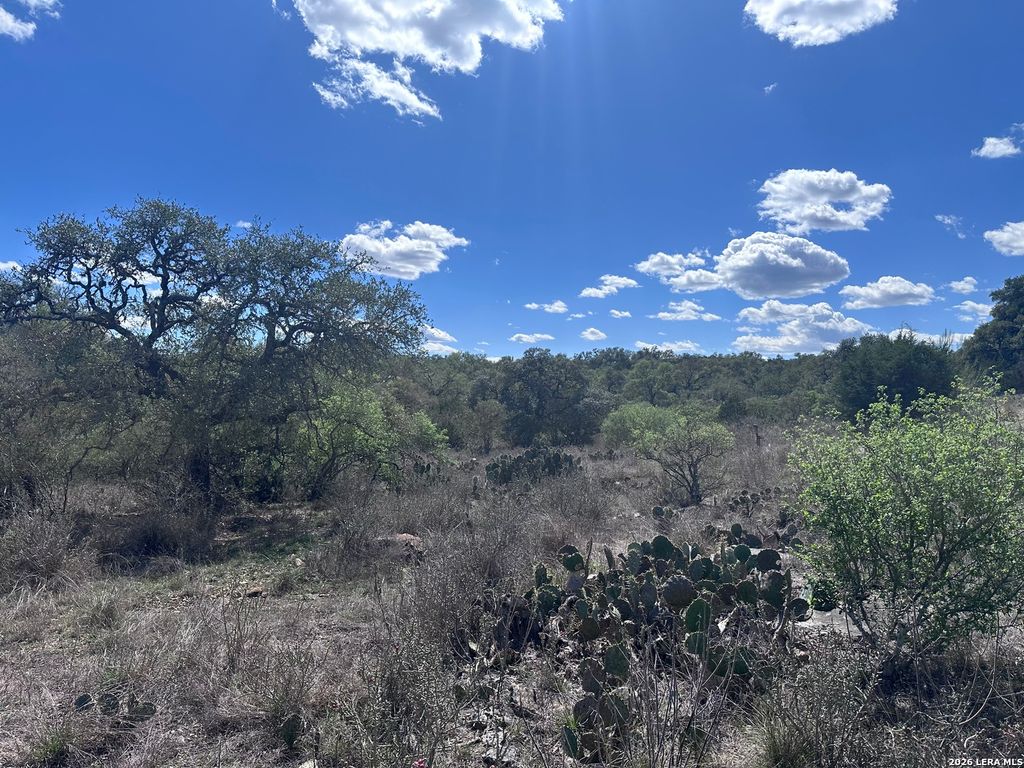 119 Cartama, Spring Branch, TX 78070