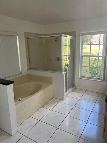 733 SUNRIDGE WOODS BOULEVARD, Davenport, FL 33837