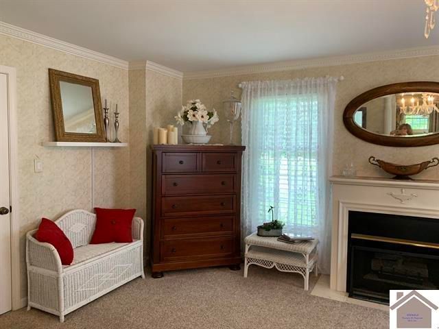 800 Macedonia St, Mayfield, KY 42066