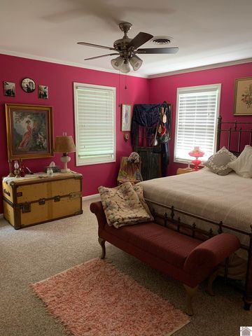 800 Macedonia St, Mayfield, KY 42066