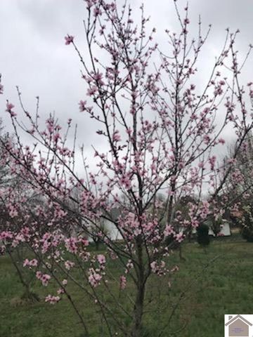 800 Macedonia St, Mayfield, KY 42066