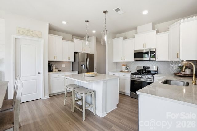 16732 Cozy Cove Road, Charlotte, NC 28278