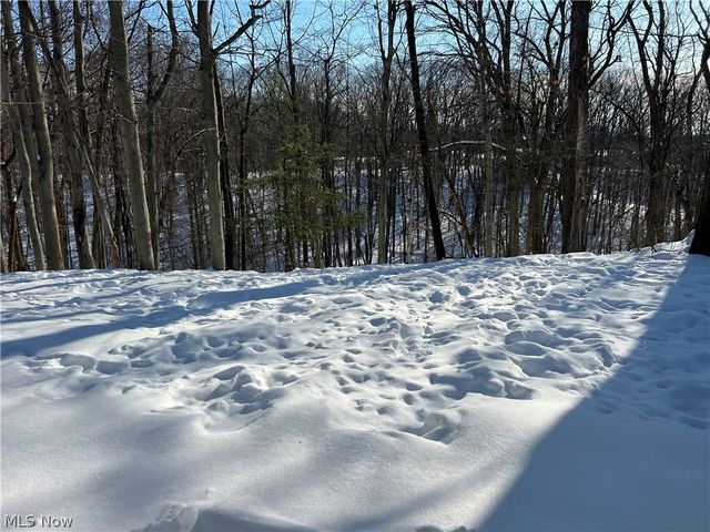 851 Wellmon Street, Bedford, OH 44146