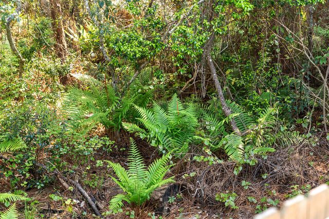 6 Davis Court, Shalimar, FL 32579