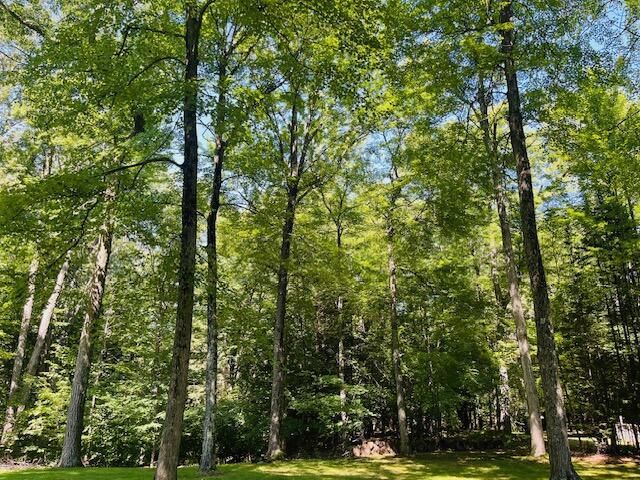 W1380 Little River ROAD, Marinette, WI 54143