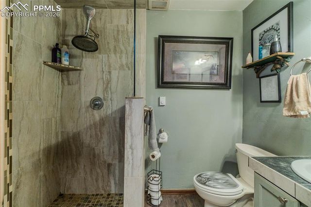 595 High Pasture Road, Florissant, CO 80816