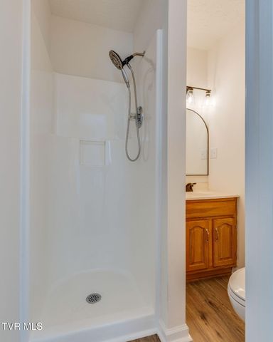 323 Mountain Ash Drive, Dryden, VA 24243