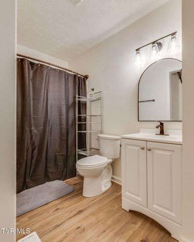 323 Mountain Ash Drive, Dryden, VA 24243