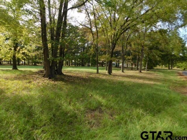 Lot 35 Brook Harbor, Yantis, TX 75497