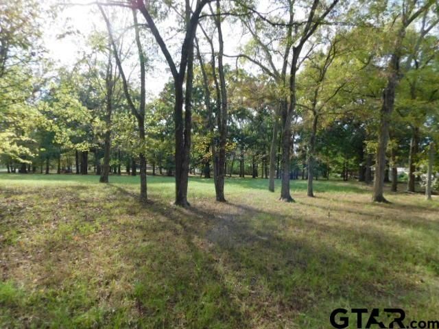 Lot 35 Brook Harbor, Yantis, TX 75497