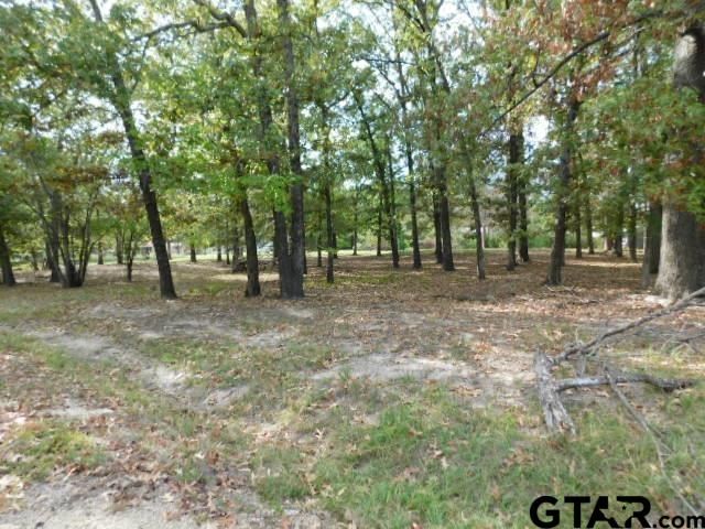 Lot 35 Brook Harbor, Yantis, TX 75497