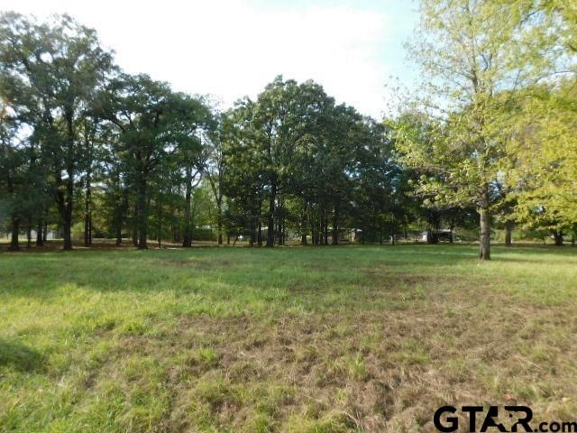 Lot 35 Brook Harbor, Yantis, TX 75497