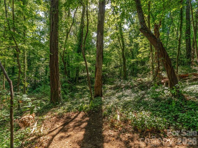 103 Aurora Drive 2, Asheville, NC 28805