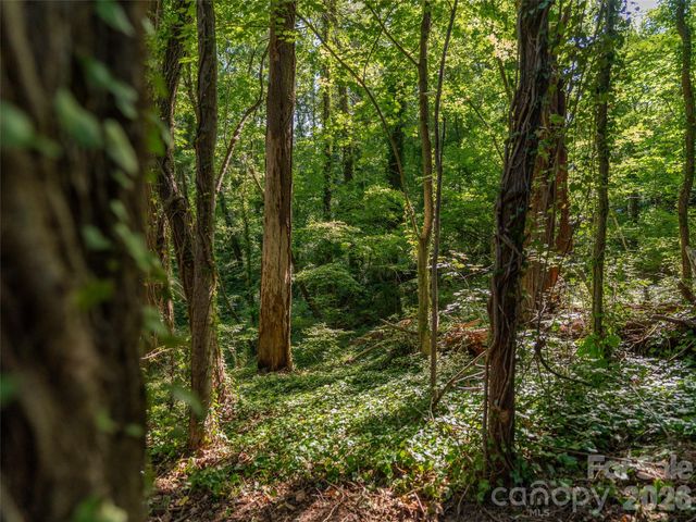 103 Aurora Drive 2, Asheville, NC 28805
