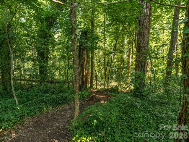 103 Aurora Drive 2, Asheville, NC 28805
