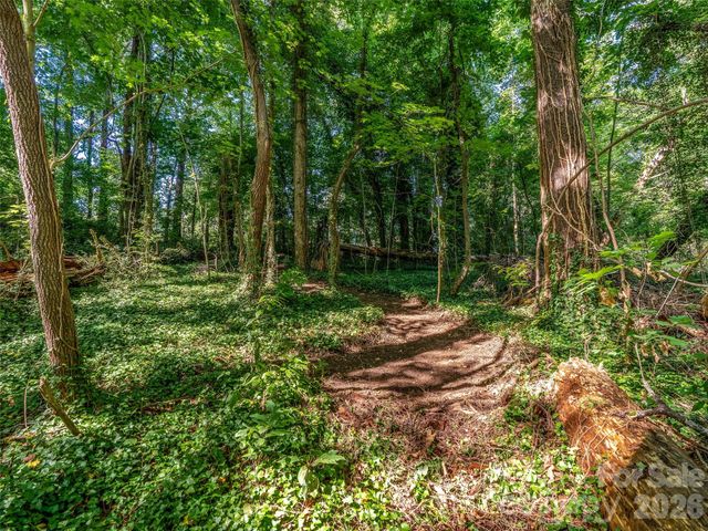 103 Aurora Drive 2, Asheville, NC 28805