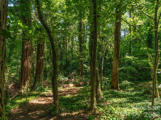 103 Aurora Drive 2, Asheville, NC 28805