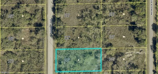 1412 Williams AVE, Lehigh Acres, FL 33972