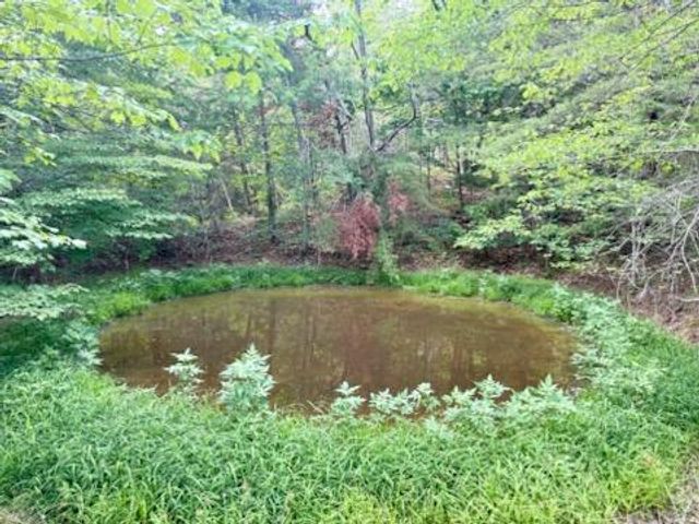 1020 S Dogwood Drive, Berea, KY 40403