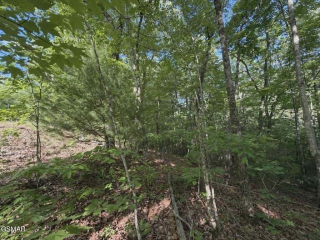 202122 Fox Hunters Lane, Sevierville, TN 37876
