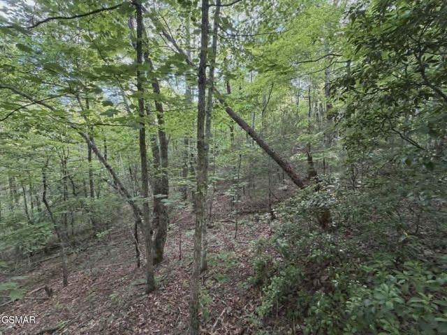 202122 Fox Hunters Lane, Sevierville, TN 37876