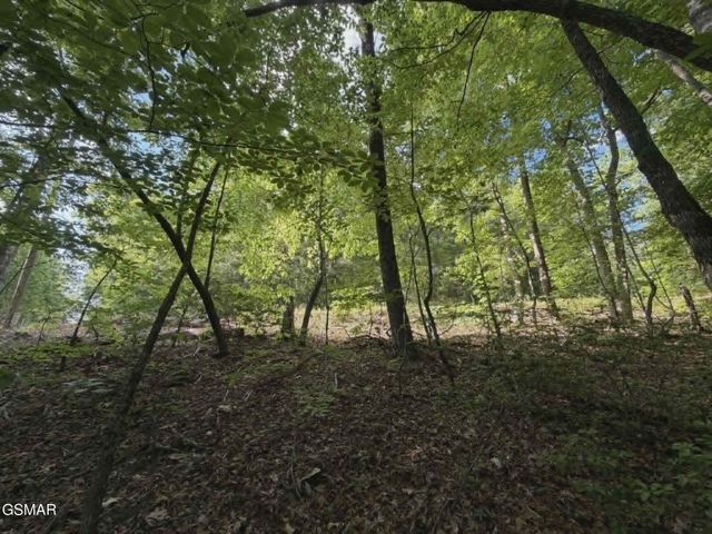 202122 Fox Hunters Lane, Sevierville, TN 37876