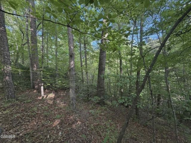 202122 Fox Hunters Lane, Sevierville, TN 37876
