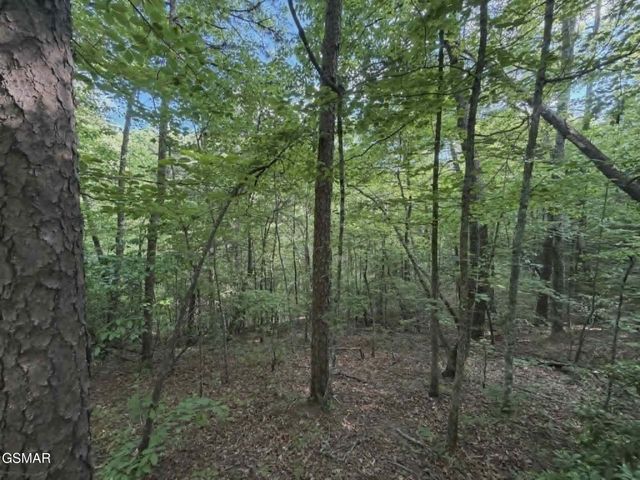 202122 Fox Hunters Lane, Sevierville, TN 37876