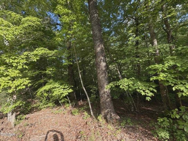202122 Fox Hunters Lane, Sevierville, TN 37876