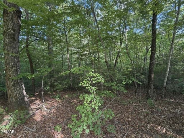 202122 Fox Hunters Lane, Sevierville, TN 37876