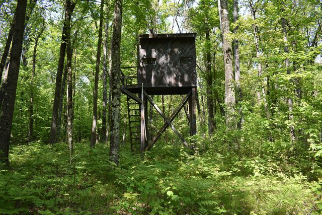 2186 88th Street, Bitely, MI 49309