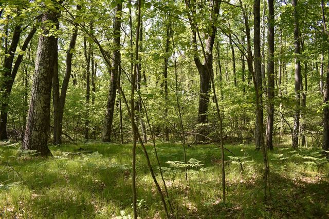 2186 88th Street, Bitely, MI 49309