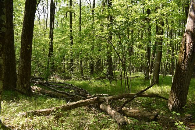 2186 88th Street, Bitely, MI 49309