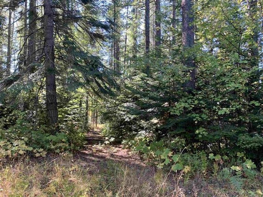 17616 E Tallman Rd, Chattaroy, WA 99003 photo 3