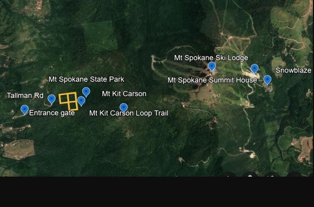 17616 E Tallman Rd, Chattaroy, WA 99003 photo 6