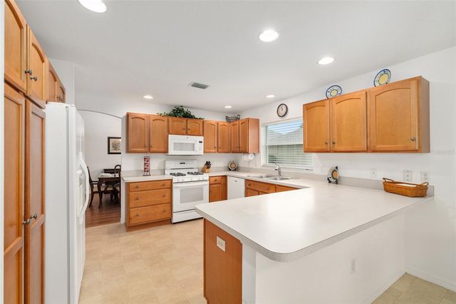 7241 SE 172ND HAZELWOOD LOOP, The Villages, FL 32162