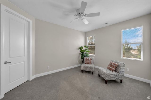 401 W SILVER RD, Leeds, UT 84746