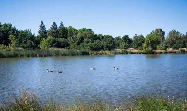 8135 Lavigne Cir, Elk Grove, CA 95757